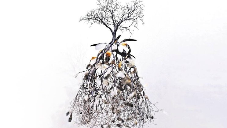 Jorge Mayet: «Ceiba», 2014, Mischtechnik, 115 × 60 × 60 cm, 14 900 Franken.