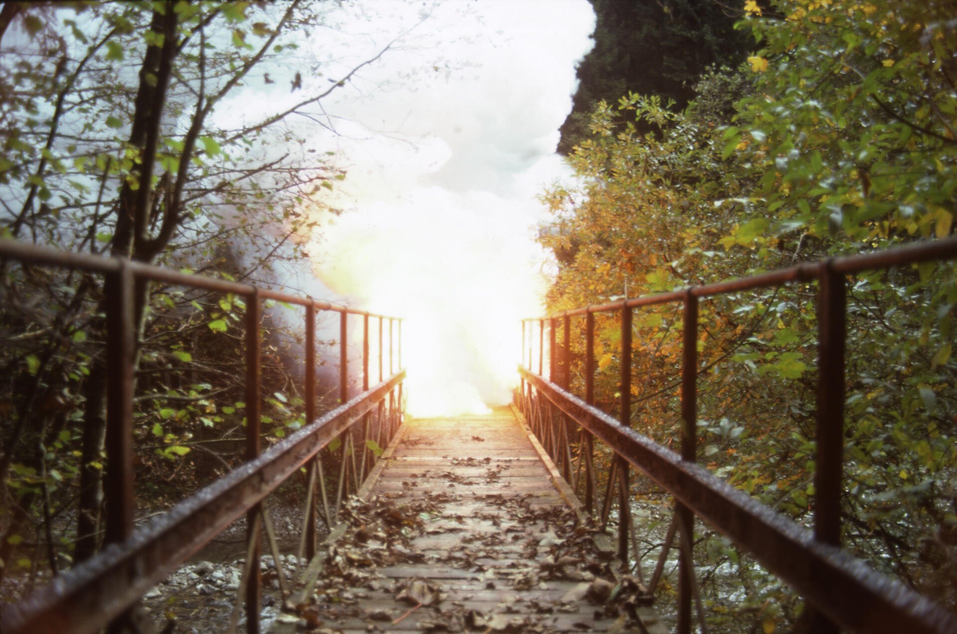 «Brücke», 1981.