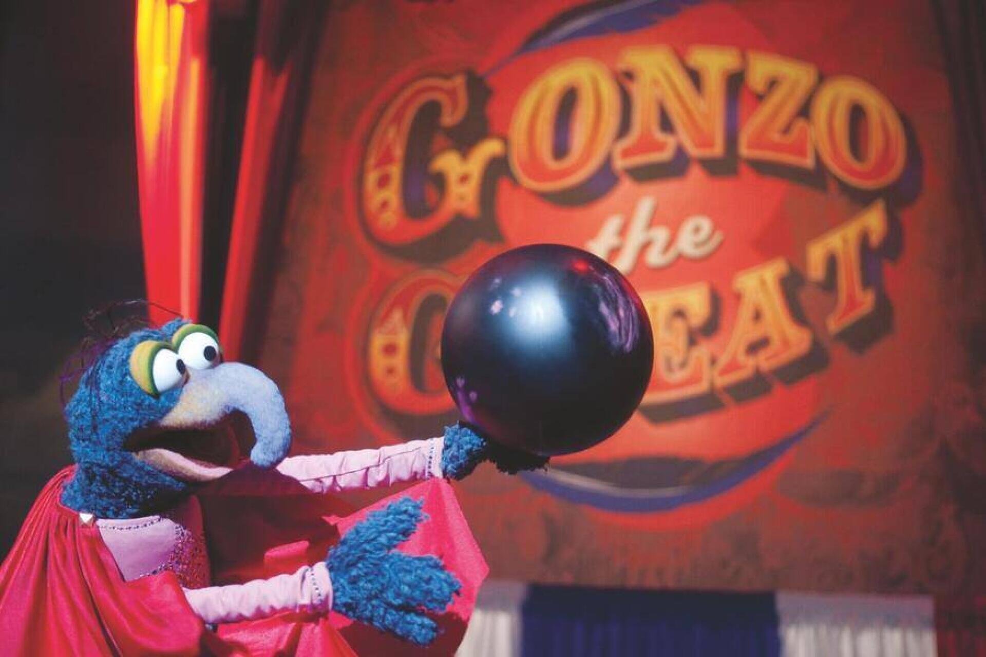 Gonzo der Grosse ist ein Performance-Künstler in der TV-Serie «The Muppet Show».