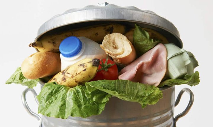 biga0_foodwaste_15951717452_1fb8ef310e_o.jpg