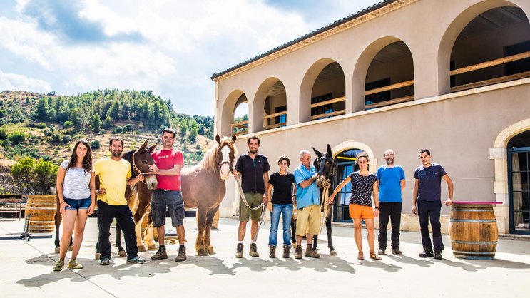 Ursprünglich: Das Team von Bodega Mas Alta verrichtet viele Arbeiten von Hand – oder mithilfe von Pferden und Maultieren.
