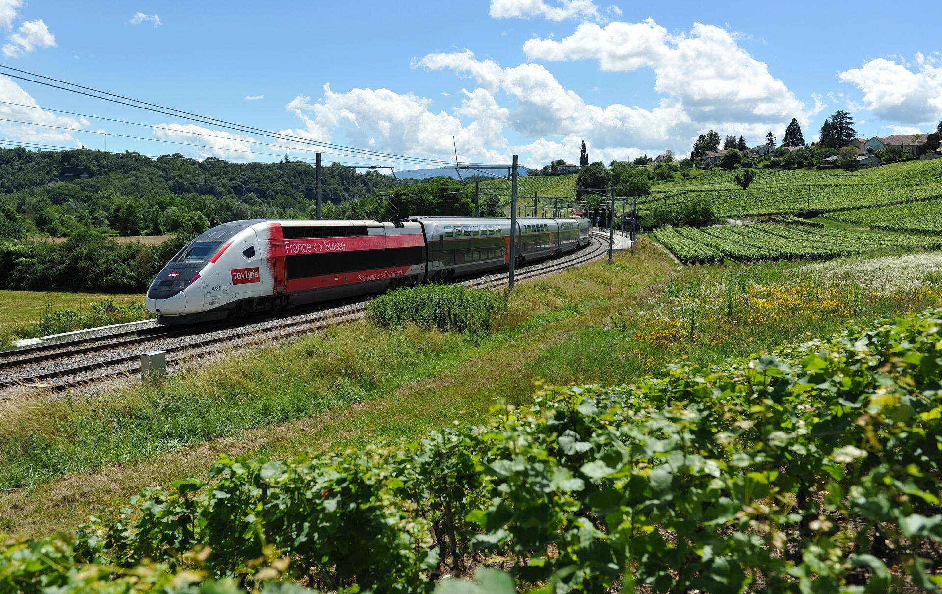 train.jpg
