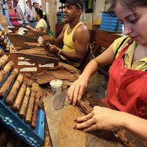 Rollt den Rubel in die Taschen der Aktionäre von Imperial Tobacco: Kubanische Zigarren.Keystone