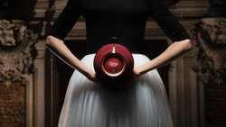 Der tragbare Devialet Mania in Kollaboration mit der Opéra war auf 150 Stück limitiert und sofort ausverkauft. Ohne Collab kostet er ab 890 Franken.
