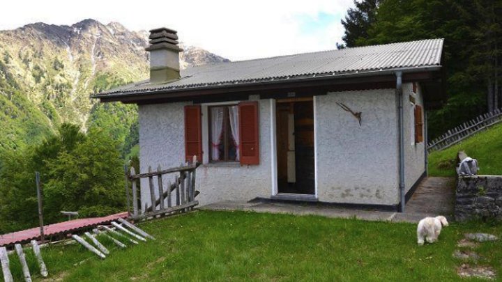 Zum Anwesen gehören ein 3,5-Zimmer-Haus, ein Holzschuppen und ein grosses Grundstück rundherum.
