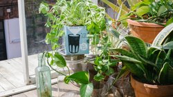 Regenerative Landwirtschaft bedeutet auch für Oatly Verantwortung zu übernehmen.