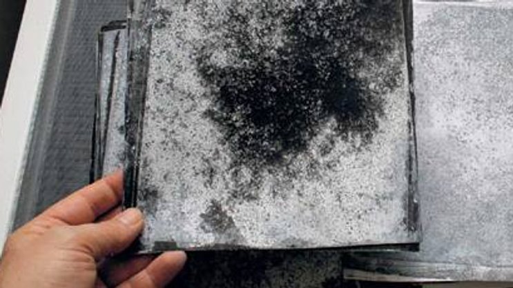 Schimmel kann Fotos komplett zerstören.