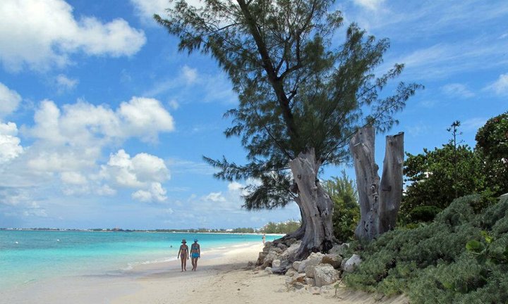 roamnig_cayman_bg2_149260000.jpg