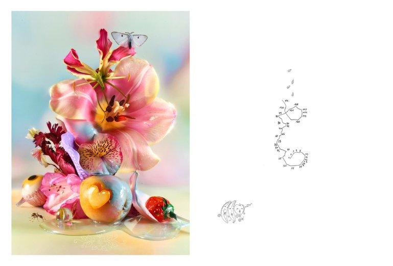 «Tulpen verkörpern zeitlose Eleganz, Rhododendren die vielschichtige Schönheit des Wandels, und die Gloriosa lodert als leuchtendes Feuer der Zukunft.»