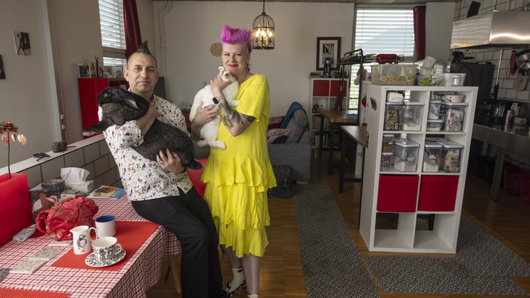 Game-Developerin Kelly Vero und ihr Mann Shawn Crocker teilen ihr Loft-Apartment in Aarau mit Kaninchen aus dem Tierheim.