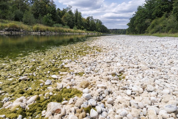 Foto: Sven Thomann, 6.8.2026, Kleinandelfingen(ZH): Geringer Wasserstand wegen der anhaltenden Trockenheit der Thur im Thurrank Alten. Naturschutzgebiet Thurauen. SymbolbildRMS