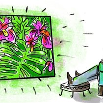 Kowalskys Crashtest Philips 65OLED803 TV Fernseher