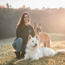 Sie hat ihre Hunde zum Beruf gemacht: Als ehemalige hundebegeisterte Marketingleiterin arbeitet Gabriela Frei Gees zu 100 Prozent mit Hunden.