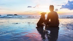 Reisen: Wie wirkt sich eine solche Auszeit auf das Alterskapital aus?