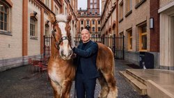 Thomas Amstutz mit Brauereipferd Nico vor dem Turm des Feldschlösschen-Schlosses, der 43 Meter hoch ist.