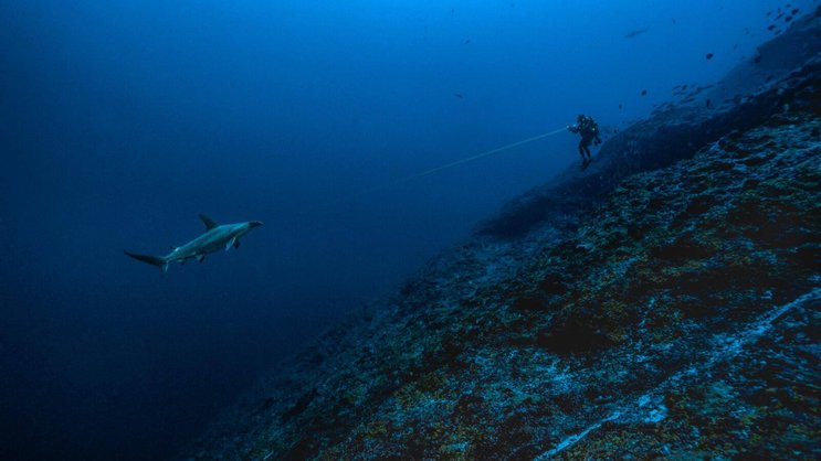 Für Exkursionen in die Unterwasserwelt: Blancpains Fifty Fathoms Tech Gombessa.