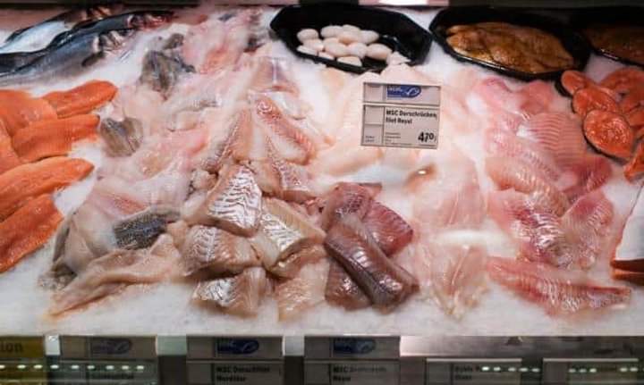 klima_essen_6.jpg