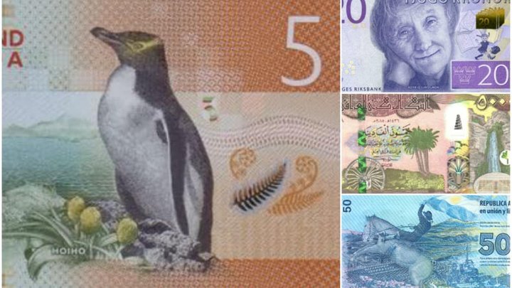 pinguiiin.jpg