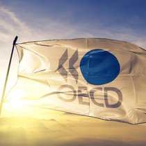 Eine Fahne mit dem Logo der OECD.