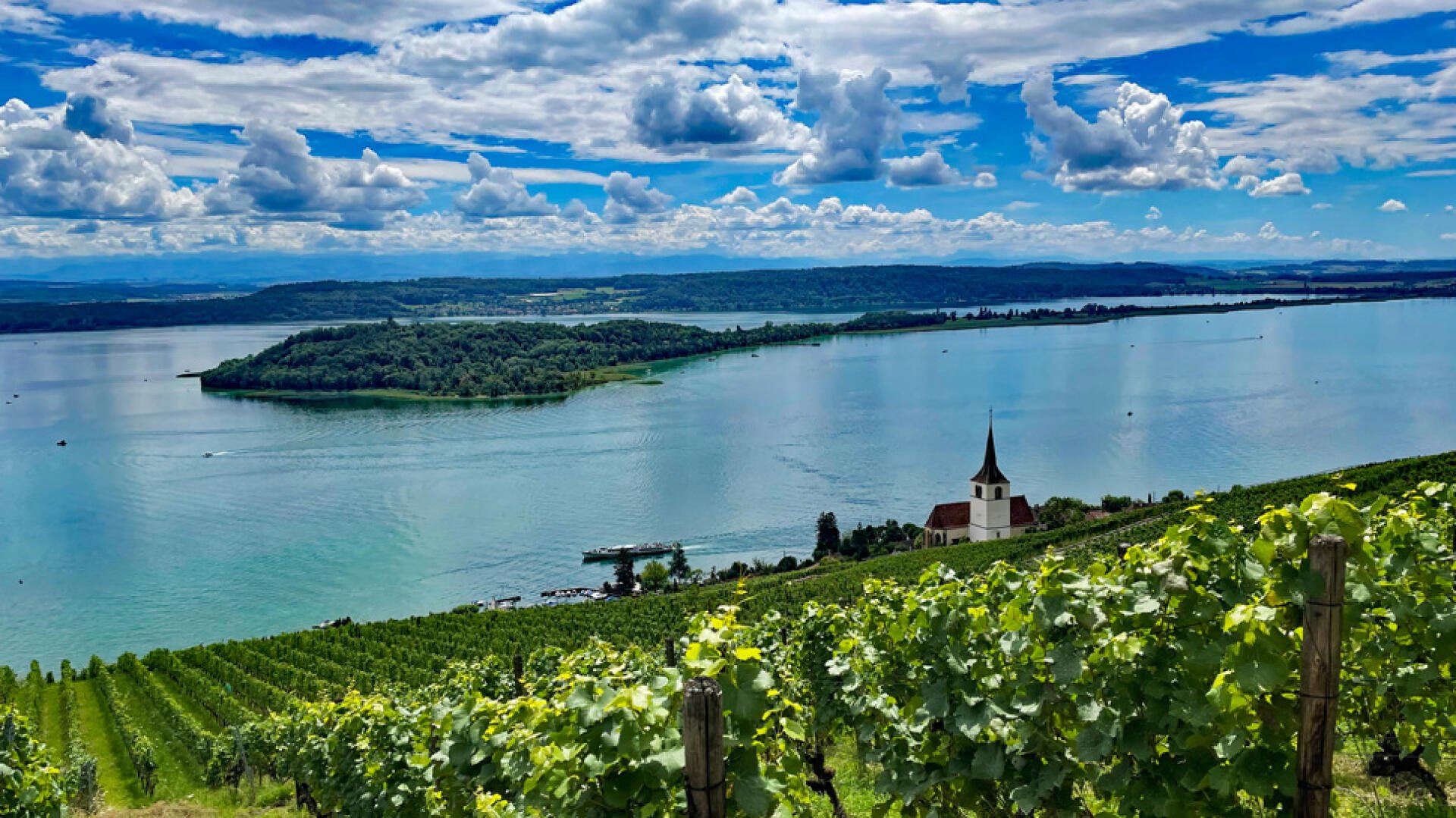 Es gibt etliche verlockende Weinspaziergänge in der Schweiz, etwa am Bielersee, mit Blick auf die Sankt Peterinsel.