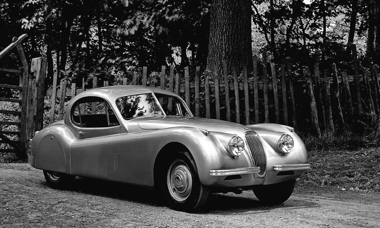 jaguar-04.jpg