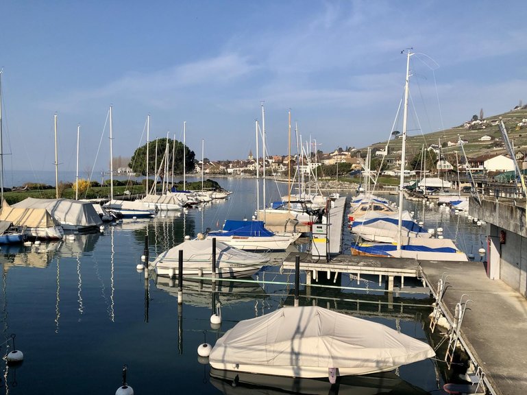 Cully (im Hintergrund die Lavaux-Rebberge) ist der Hauptort der seltenen Sorte.
