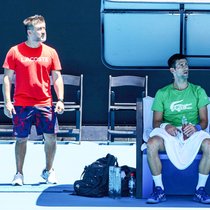 Novak Djokovic: Wie lange führt der rebellische Tennisstar das Lacoste-Krokodil noch spazieren?