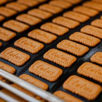 Die belgischen Lotuskekse in der Produktion.