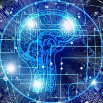 Künstliche Intelligenz hält in mehr und mehr Bereichen des Alltags Einzug.