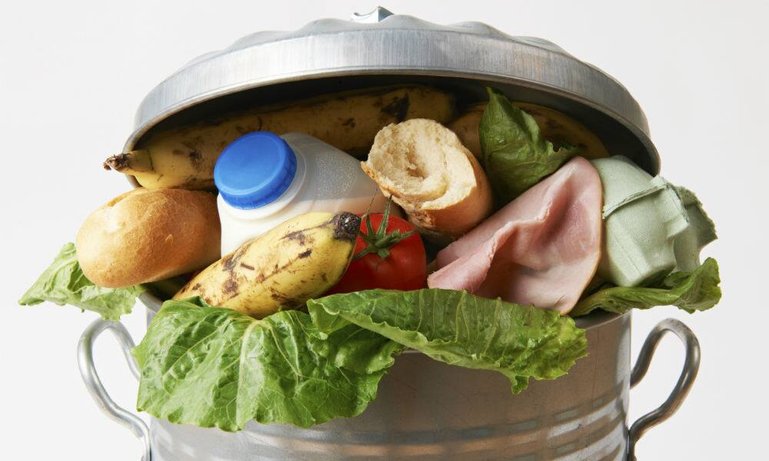 biga0_foodwaste_15951717452_1fb8ef310e_o.jpg