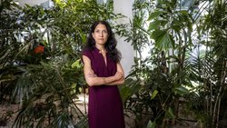 Neustart: Unter Srishti Gupta kehrte das Vertrauen in die lange kriselnde Idorsia zurück.
