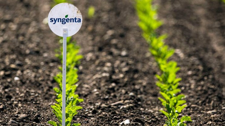 Übernahme: Syngenta ist womöglich bald Teil eines chinesischen Riesenkonzerns.Keystone