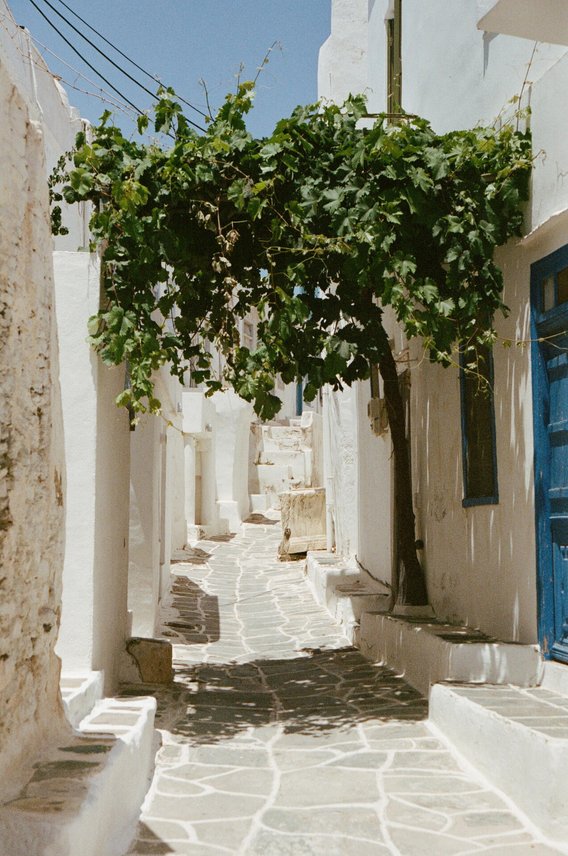 HR_SIFNOS_01.jpg