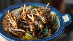Heuschrecken schrecken Schweizer Konsumenten ab: Das Geschäft mit essbaren Insekten läuft nicht.