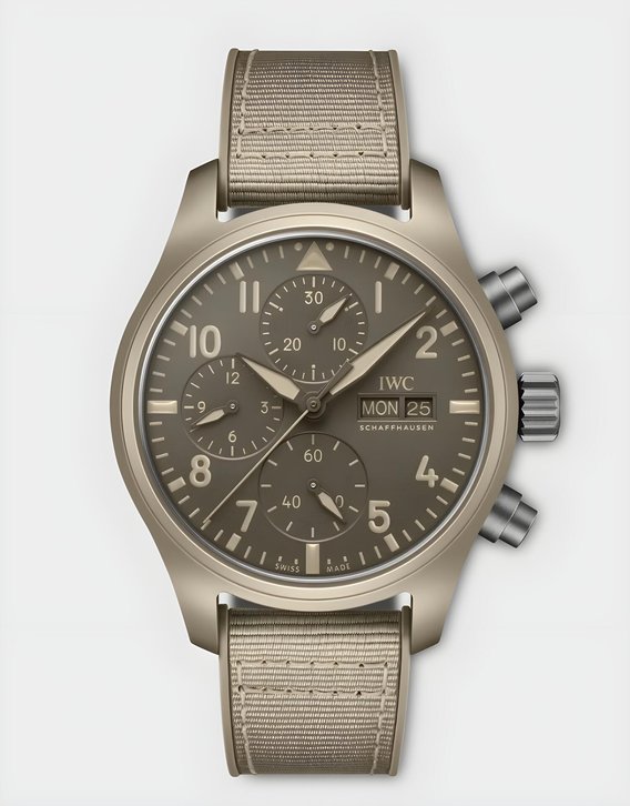 IWC.jpg