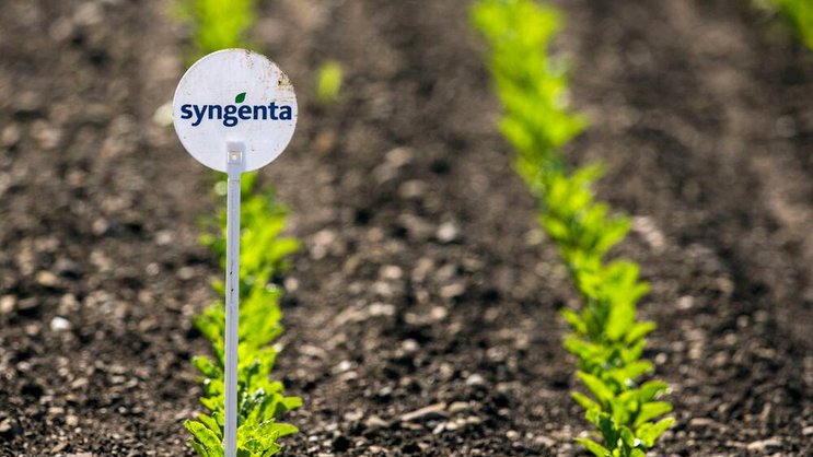 Syngenta: Die Übernahme-Gerüchte treiben den Aktienkurs. Keystone