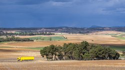Die Schweizer Weinimporte waren 2025 erneut rückläufig. Betroffen war vor allem Rotwein.