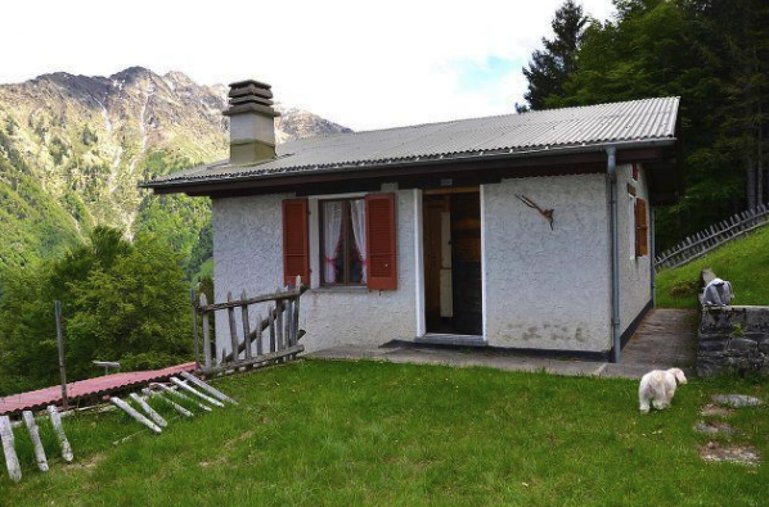 Zum Anwesen gehören ein 3,5-Zimmer-Haus, ein Holzschuppen und ein grosses Grundstück rundherum.