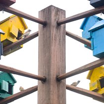 Nebenbeschäftigungen: «Vogelhäuschen bauen»