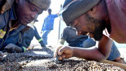 In Botswana stammt ein Drittel der Staatseinnahmen aus der Diamantenproduktion. Der Preisverfall lastete auf der Wirtschaft und hat sogar zu einem politischen Erdbeben geführt.