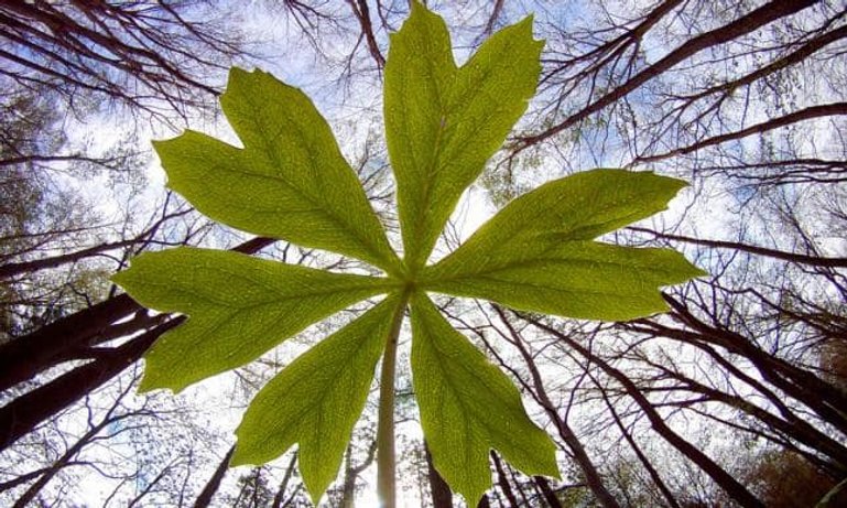 biga_gopro_9.jpg