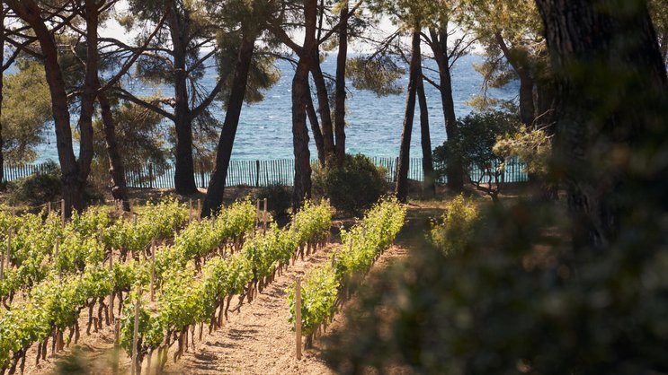 Domaines Ott Clos Mireille
