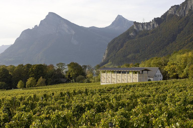 Die von den Architekten Valentin Bearth, Andrea Deplazes und Daniel Ladner gebaute Kelter- und Degustierhalle mit perfekten Bedingungen für den Gärprozess der Trauben.