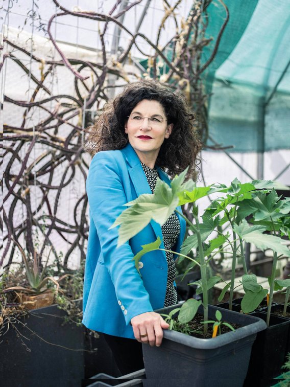 Tina Müller Weleda