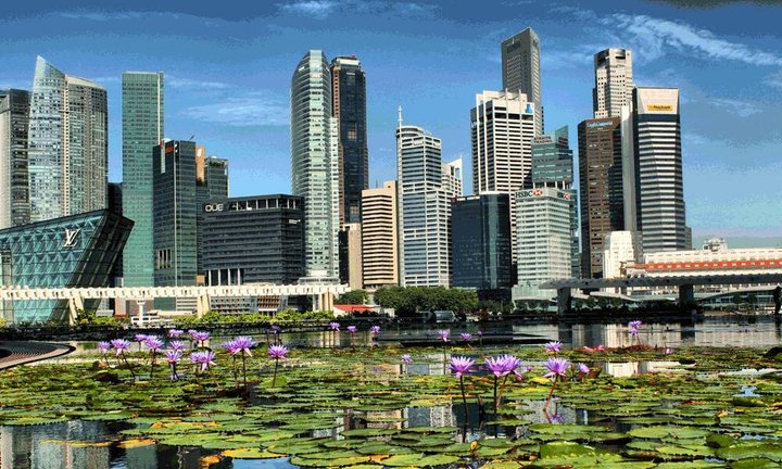 singapur_rang2.gif