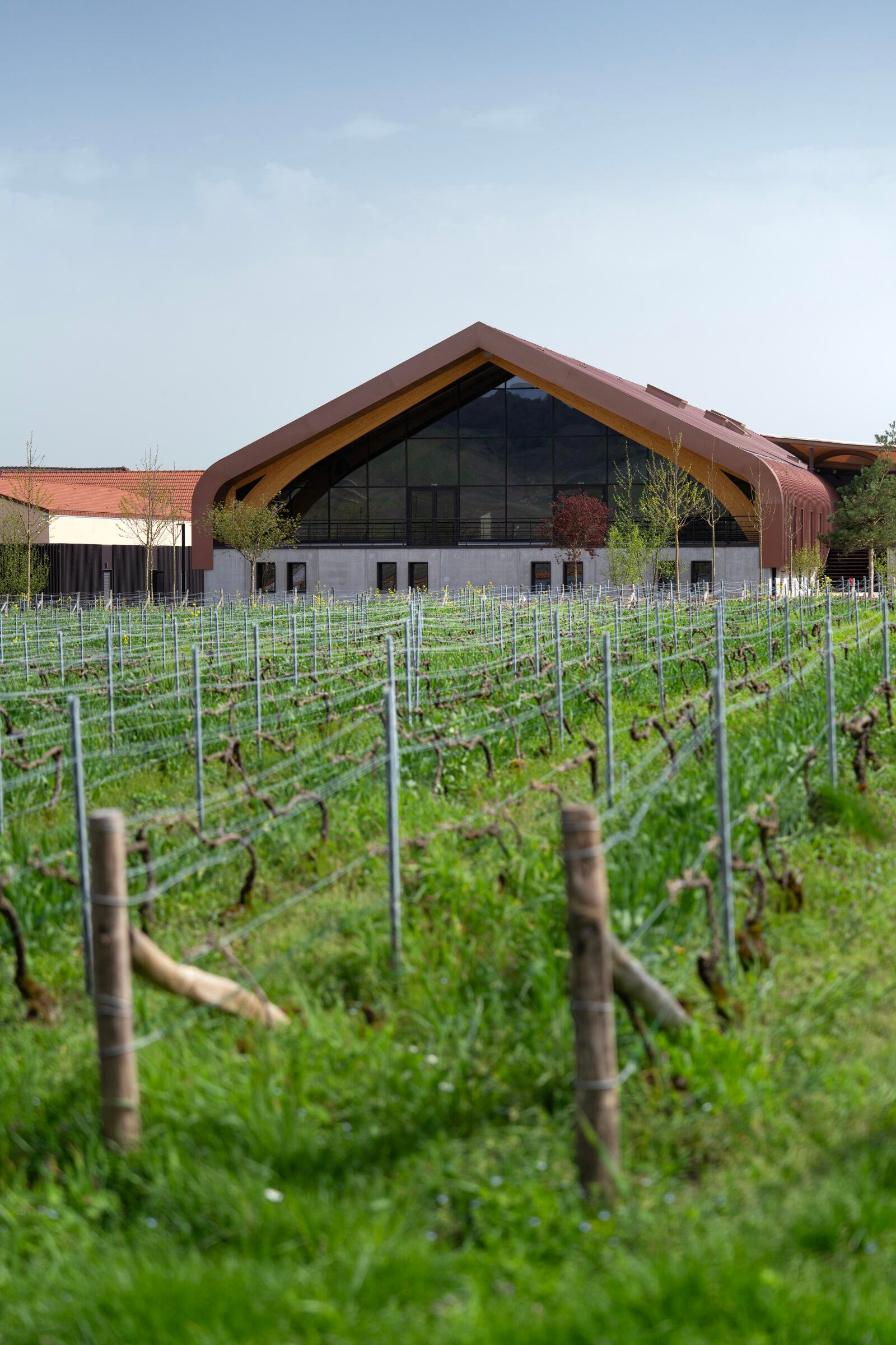 Die gerade eröffnete Produktionsanlage von Krug in der Nähe von Reims mit neuen Stahltanks und ­genügend Platz zur Lagerung der Weine in Hunderten von Fässern.