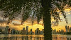 Blick auf Dubai: Das arabische Emirat ist beliebt bei ausländischen Käuferinnen und Käufern von Ferienimmobilien.
