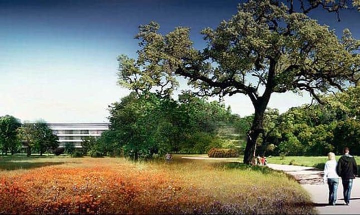 apple_campus_11.jpg