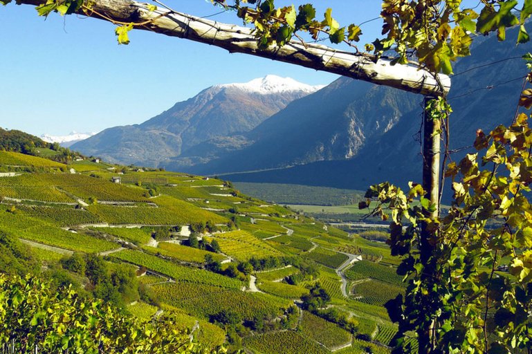 Sechs Kilometer durch diese herrliche Landschaft inmitten der Reben – von Museum zu Museum. Und gestärkt durch Raclette und Fendant…