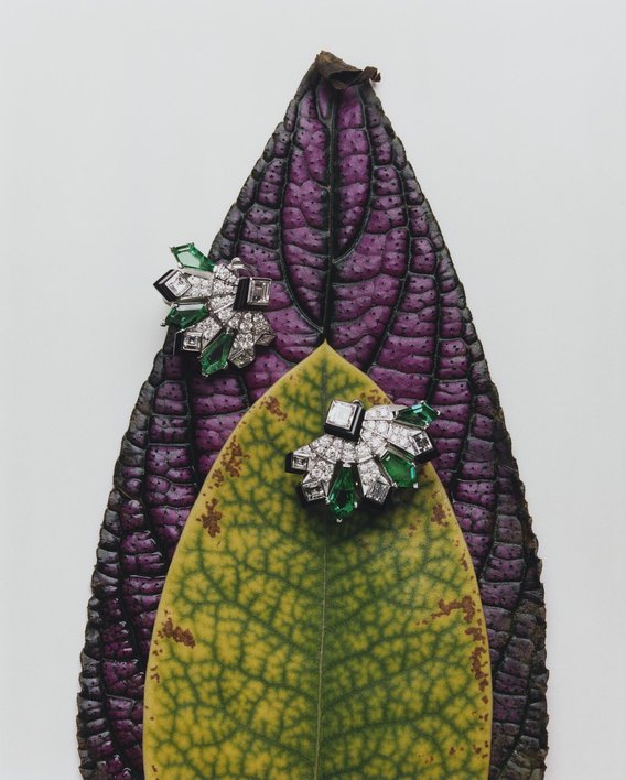 Bolero_Leaves_01.tif
